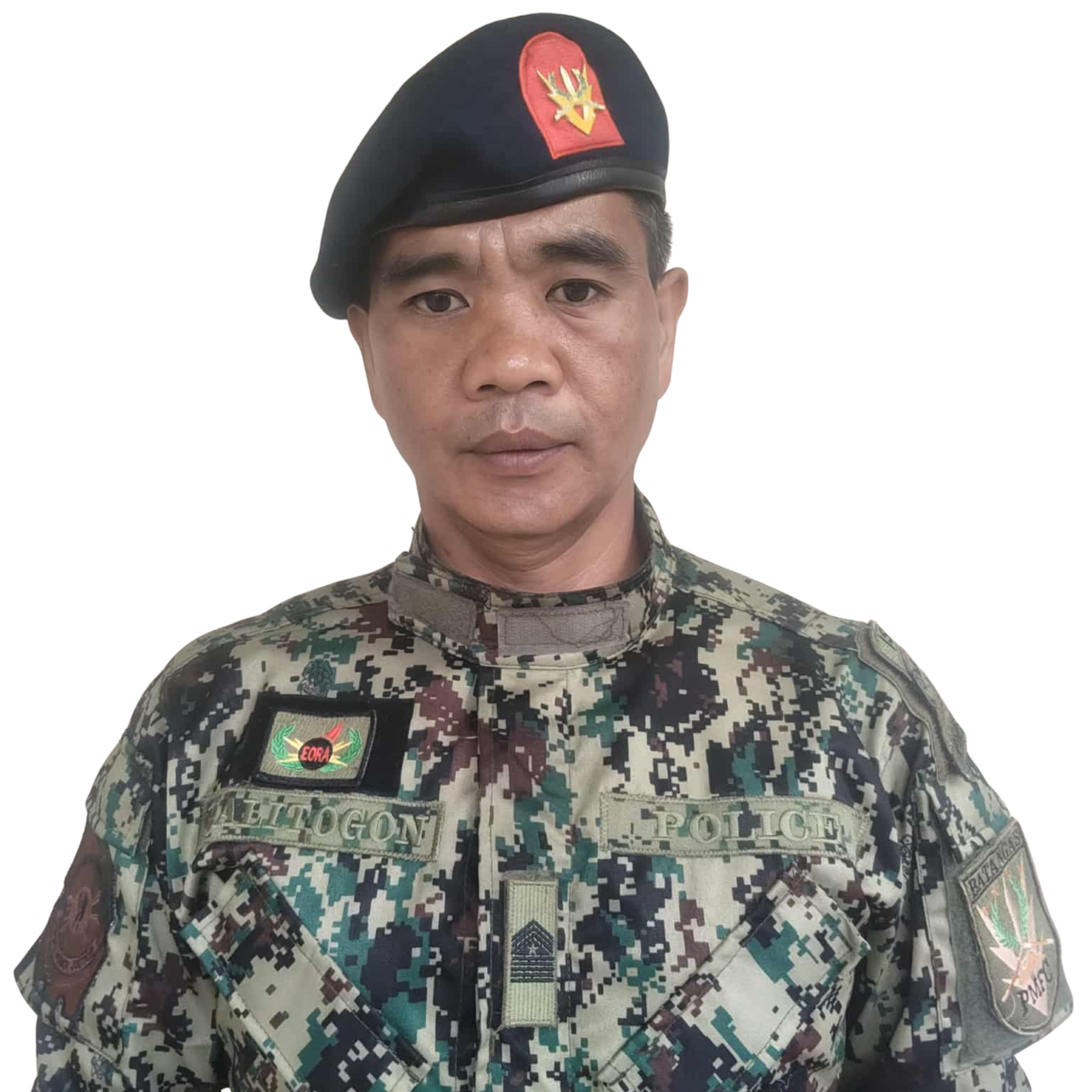 PEMS Sardival Delmas Palitogen