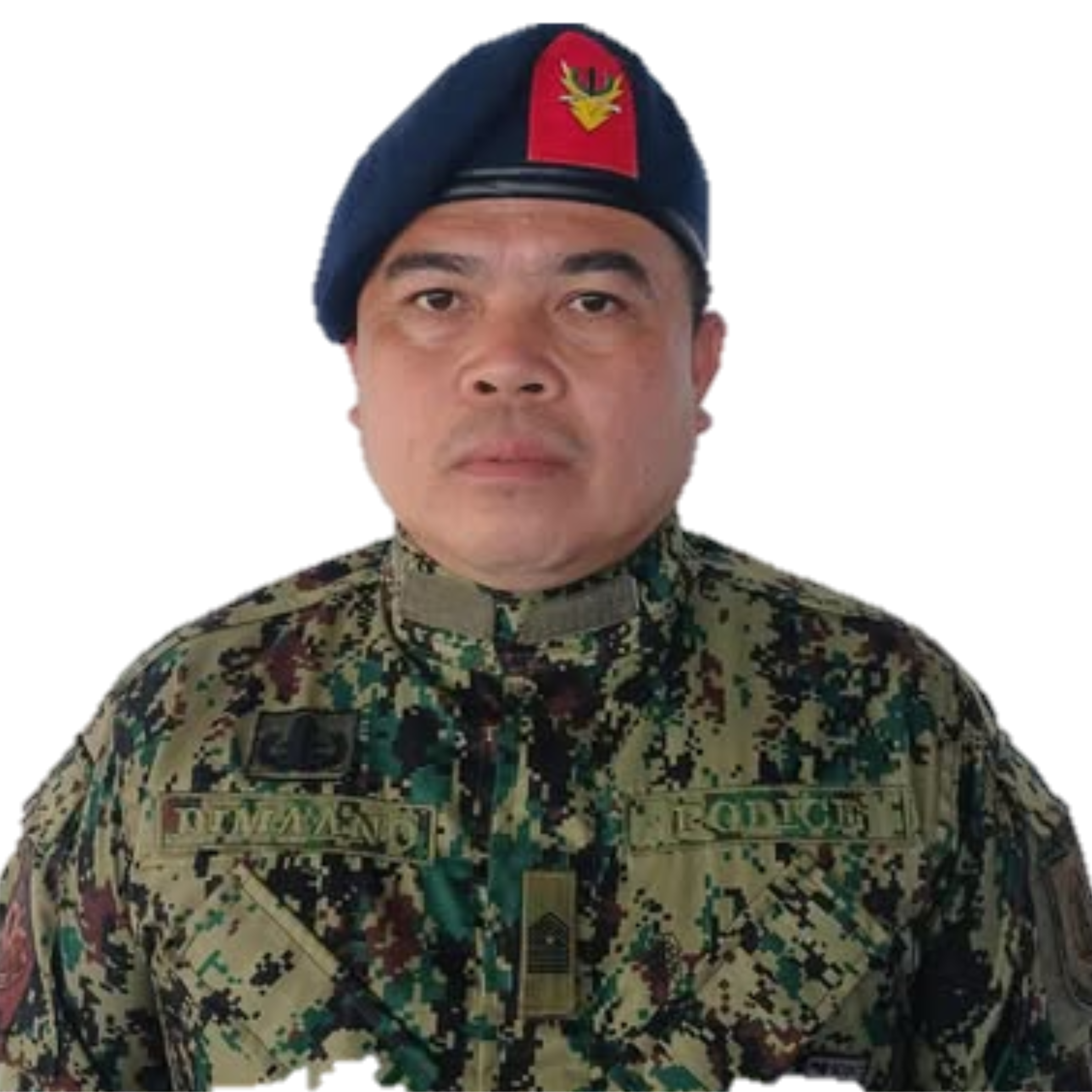PEMS Ruel Casas Dimaano